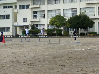 6_hurdles.png