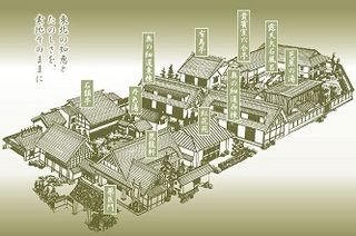 瀧波.jpg