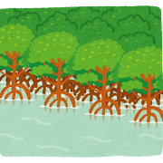 mangrove_hayashi.png