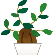 plant_gajumaru.png